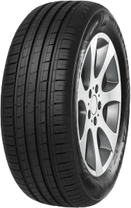 195/60 R 16   89V   MINERVA   F209