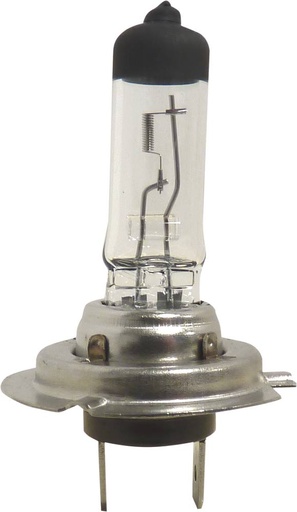 AMPOULE H7 12V 55W/BOITE